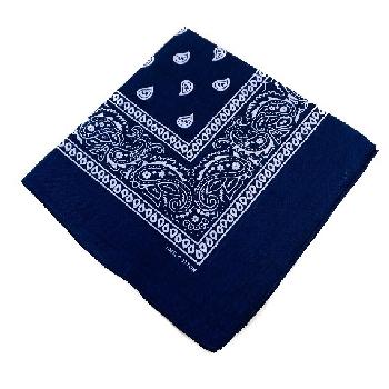 Bandana-Navy Blue Paisley